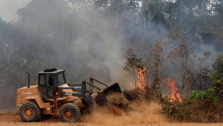 Abholzung des Amazonaswaldes geht auf Rekordniveau weiter