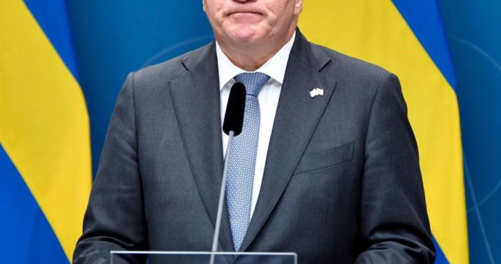 Schwedens Minsterpräsident Stefan Löfven tritt zurück