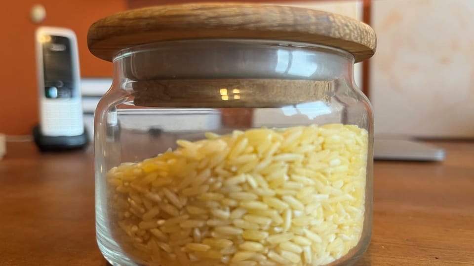 Der Goldene Reis mit dem bitteren Beigeschmack
